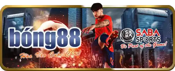 Cookie và liên kết bên thứ ba trên 88onl